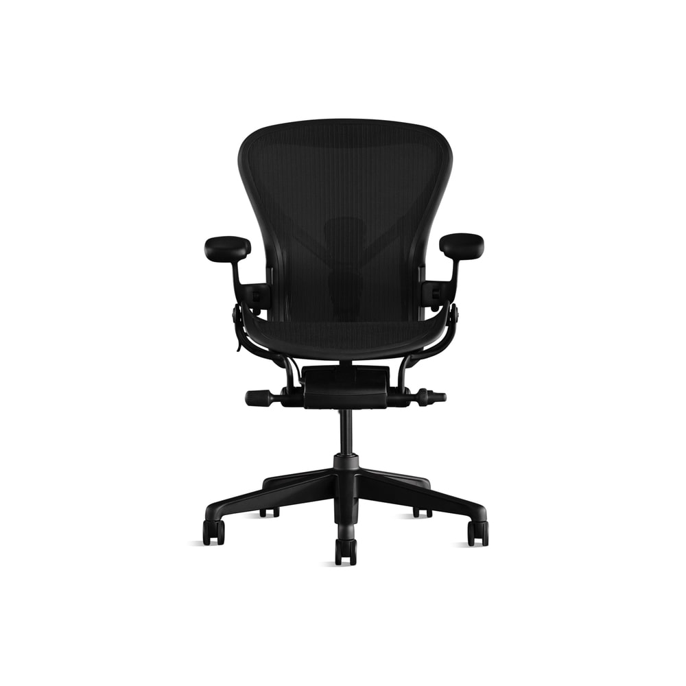 Aeron Onyx Chair (B size)