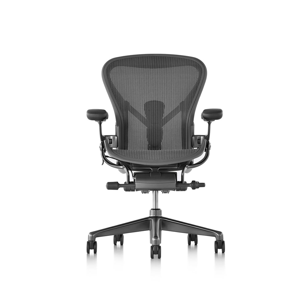 [빠른배송] New Aeron Chair - Full Option (Carbon)