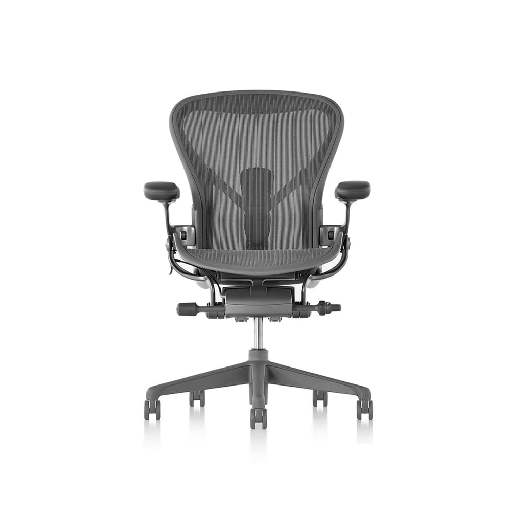 Aeron Chair - Full Option (Carbon)