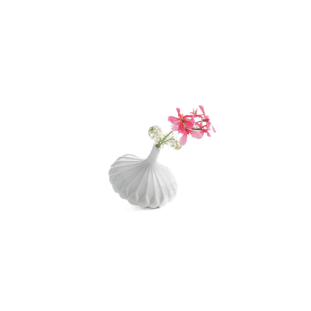 [재고보유] Piao Single Flower Vase